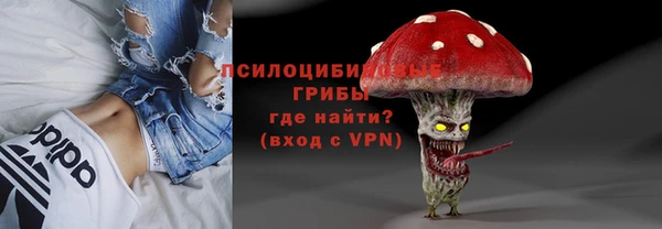 тгк Армянск
