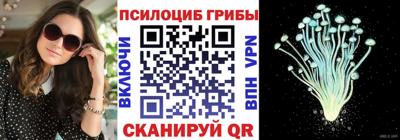 где продают   Лихославль  Псилоцибиновые грибы Magic Shrooms 