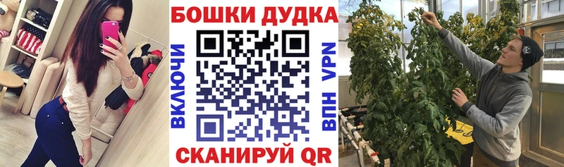 купить наркотик  KRAKEN сайт  Шишки марихуана ГИДРОПОН  Лихославль 